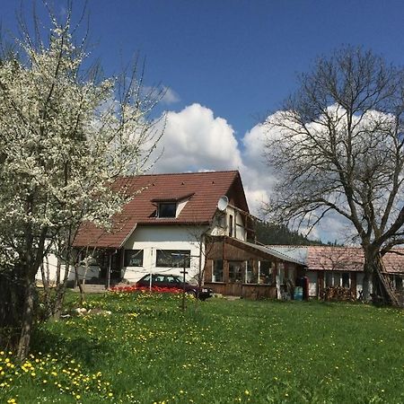 Karacsony Guest House Lunca de Sus 外观 照片