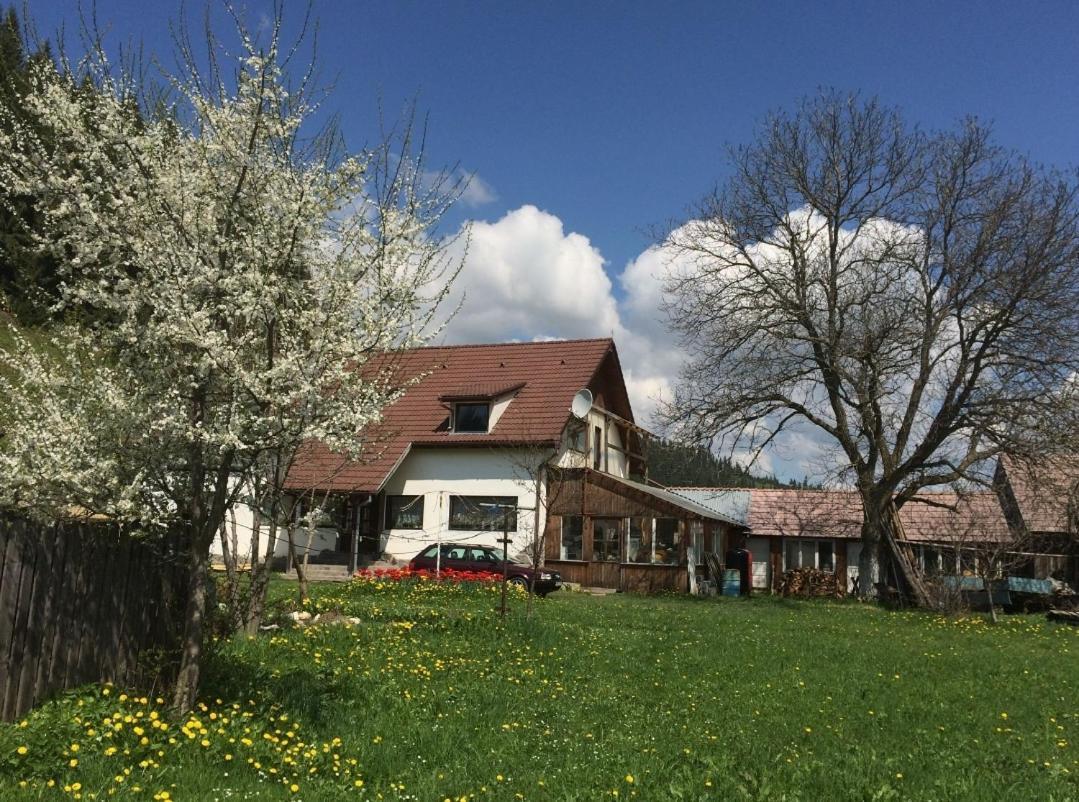 Karacsony Guest House Lunca de Sus 外观 照片
